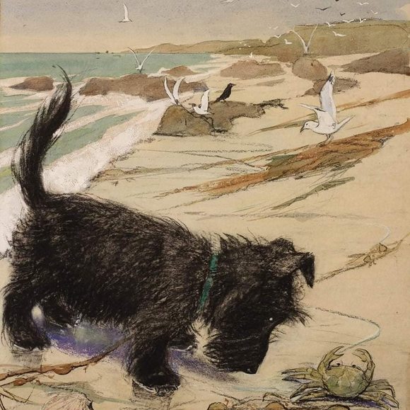 Meet your Posher, Dawn Trades? - Picture 1 of 1